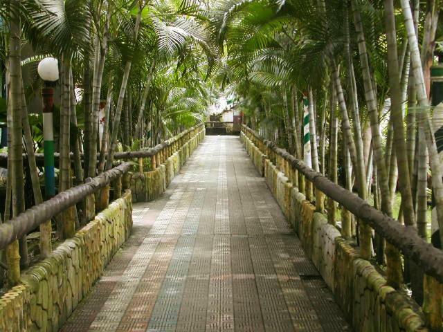 Palm Village Resort Calcuta Exterior foto